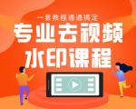 专业去视频水印教程 静态水印、动态水印、文字水印、图片水印一套教程通通搞定-88共享