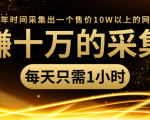 年赚十万的采集站,每天却只需要1小时,一年时间采集出一个售价10W以上的网站-88共享