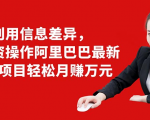 利用信息差异,零投资操作阿里巴巴最新管道项目轻松月赚10000+-88共享