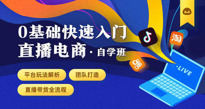 0基础快速入门直播电商课程：直播平台玩法解析-团队打造-带货全流程等环节-88共享