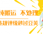 抖音纯搬运 不处理 小技巧,30秒发一个作品,避免违规评级秒过豆荚-88共享