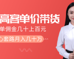 抖音高单价带货项目,一单佣金几十上百元,核心套路月入几十万(共3节)-88共享