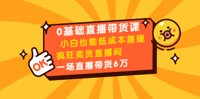 0基础直播带货课：小白也能低成本搭建疯狂卖货直播间：1场直播带货6万-88共享