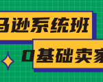亚马逊系统班,专为0基础卖家量身打造,亚马逊运营流程与架构-88共享
