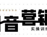 《12天线上抖音营销实操训练营》通过框架布局实现自动化引流变现-88共享