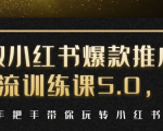 小红书爆款推广引流训练课5.0,手把手带你玩转小红书(17节实操视频+话术)-88共享