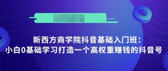 抖音基础入门班：小白0基础学习打造一个高权重赚钱的抖音号-88共享