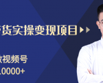 柚子分享课:微信视频号变现攻略,新手零基础轻松日赚千元-88共享