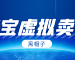 黑帽子淘宝虚拟卖货项目,单店每月收入5000+-88共享