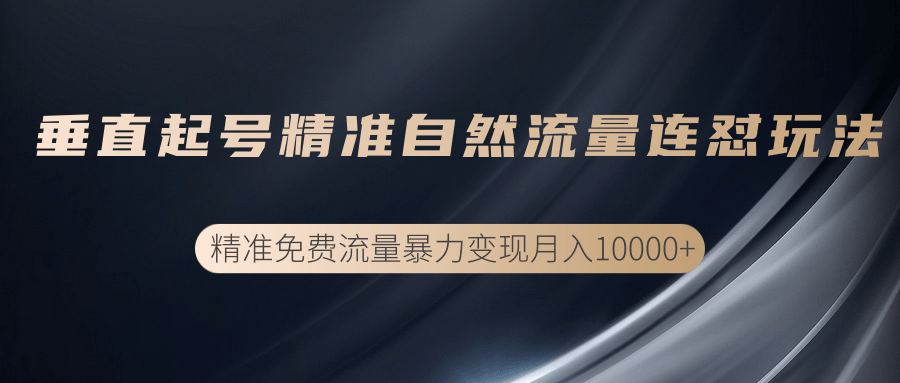 垂直起号精准自然流量连爆玩法，精准引流暴力变现月入10000+-88共享