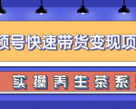 柚子视频号带货实操变现项目,零基础操作养身茶月入10000+-88共享