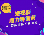 零基础小白进阶到大神《短视频魔力特训营》定位-运营-引流-变现-88共享