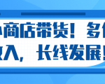 微信小商店带货,爆单多倍收入,长期复利循环!日赚300-800元不等-88共享
