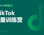 2020最新TikTok流量增长训练营(完结)附PPT-88共享