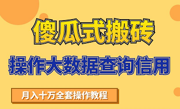 搬砖操作大数据查询信用项目赚钱教程，祝你快速月入6万-88共享