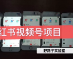 野路子小红书视频号1.0项目,直接上手操作就能赚钱的视频号项目-88共享