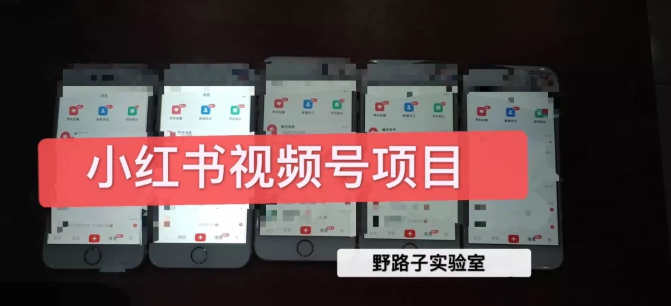 野路子小红书视频号1.0项目，直接上手操作就能赚钱的视频号项目-88共享