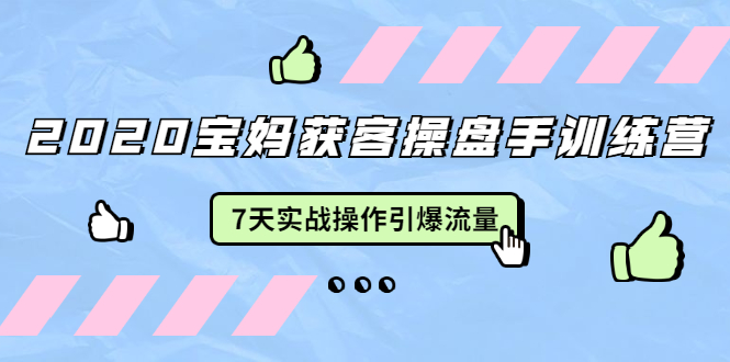 2020宝妈获客操盘手训练营：7天实战操作引爆 母婴、都市、购物宝妈流量-88共享