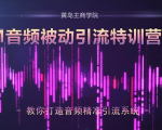 黄岛主·FM音频引流特训营2.0：独家引流模式，单账号50W+播放量，轻松变现-88共享