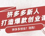 拼多多新人打造爆款创业课：快速引流持续出单，适用于所有新人-88共享