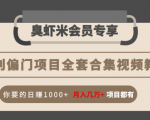 暴利偏门项目全套合集视频教程：你要的日赚1000+月入几万+项目都有-88共享