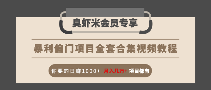 暴利偏门项目全套合集视频教程：你要的日赚1000+月入几万+项目都有-88共享