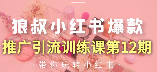 狼叔小红书爆款推广引流训练课第12期，手把手带你玩转小红书-88共享