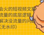只说话就会火的短视频文案课,从根本上解决没流量的问题-88共享