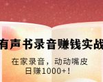 有声书录音赚钱实战:在家录音,动动嘴皮,日赚1000+!-88共享