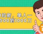 Paypal拉新赚美刀项目,单人一天利润500-1000刀【视频课程】-88共享
