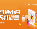 雨课·亚马逊小白特训营第9期 跨境电商挺赚钱的 有朋友已经月入几十万美金-88共享