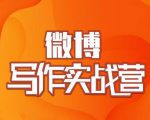 村西边老王·微博超级写作实战营,帮助你粉丝猛涨价值999元-88共享