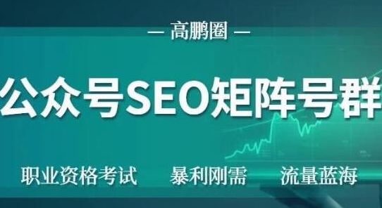 高鹏圈公众号SEO矩阵号群，实操20天纯收益25000+，普通人都能做-88共享