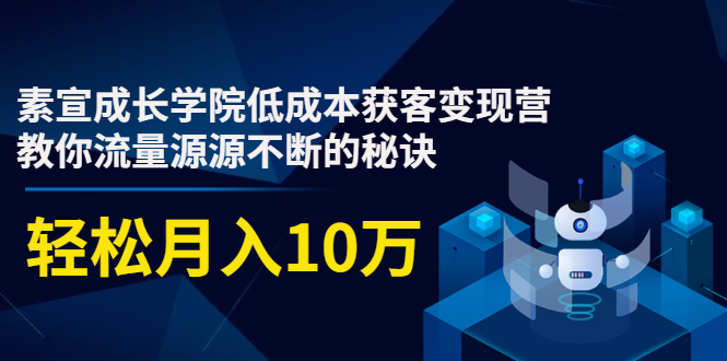 素宣成长学院低成本获客变现营，教你流量源源不断的秘诀，轻松月入10万-88共享
