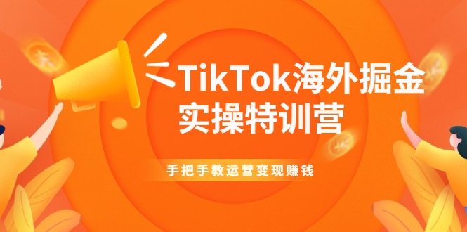 TikTok海外掘金实操特训营：手把手教运营变现赚钱-88共享