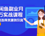2021闲鱼副业月入过万实战课程:从开店到选择货源到引流,全程实战教学-88共享