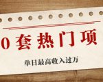 30套热门项目:单日最高收入过万 (网赚项目、朋友圈、涨粉套路、抖音、快手)等-88共享
