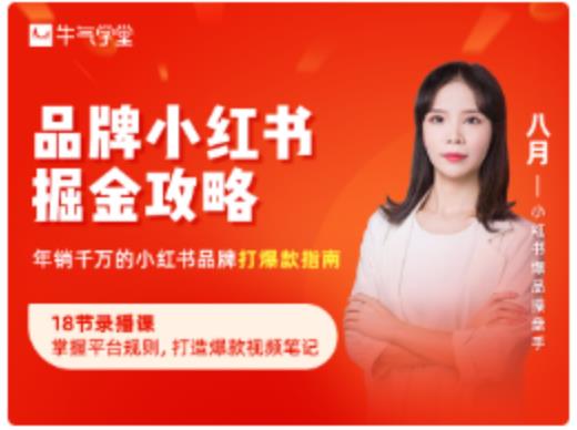 品牌小红书掘金攻略，年销千万的小红书品牌打爆款指南-88共享