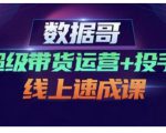 数据哥·超级带货运营+投手线上速成课,快速提升运营和熟悉学会投手技巧-88共享