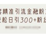 1套精准引流金融粉方法,轻松日引300+粉丝-88共享