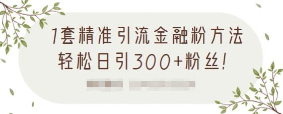 1套精准引流金融粉方法，轻松日引300+粉丝-88共享