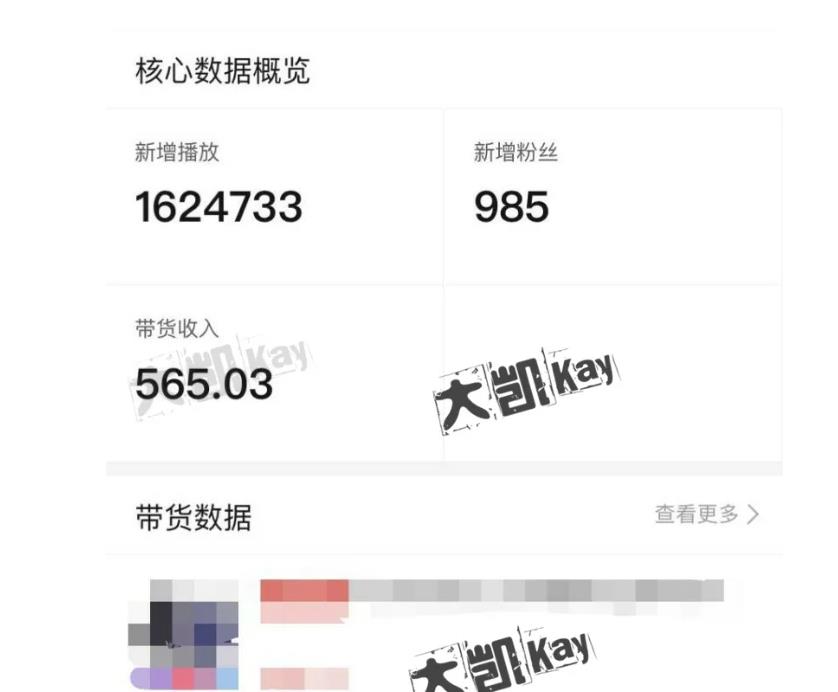 大凯进阶圈新玩法之拼多多视频玩法，利润大概一个号一天能有500~1500的左右!-88共享