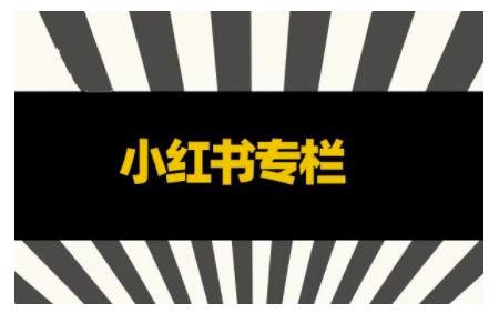 品牌医生·小红书全链营销干货，5个起盘案例，7个内容方向，n条避坑指南-88共享