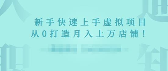 2022年虚拟项目实战指南，新手从0打造月入上万店铺-88共享