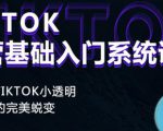 Tiktok实操进阶课程，体验从tiktok小透明到大佬的完美蜕变-88共享