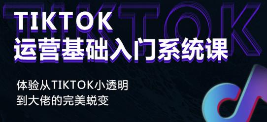Tiktok实操进阶课程，体验从tiktok小透明到大佬的完美蜕变-88共享