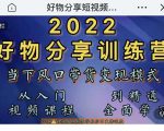 萌飞好物·2022抖音好物分享训练营，当下风口带货变现模式，从入门到精通-88共享