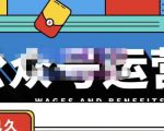 零零已久·从0-1运营公众号,零基础小白也能上手,系统性了解公众号运营-88共享