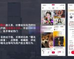 麦子互娱短视频带货·0基础做好物分享账号,无需出镜无需货源无需拍摄-88共享
