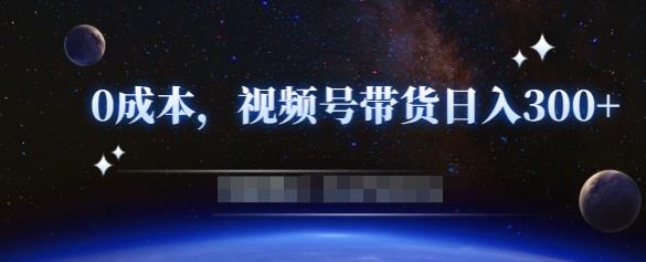 零基础视频号带货赚钱项目，0成本0门槛轻松日入300+【视频教程】-88共享